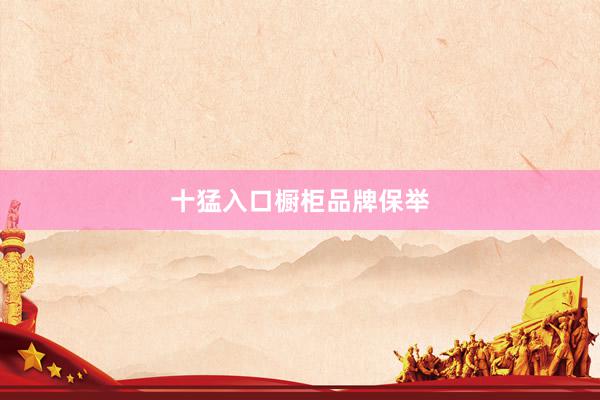 十猛入口橱柜品牌保举